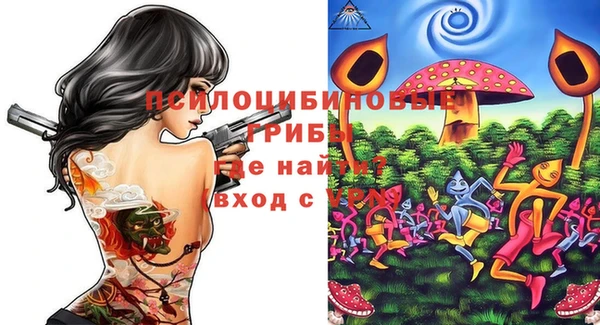 ПСИЛОЦИБИНОВЫЕ ГРИБЫ Балахна