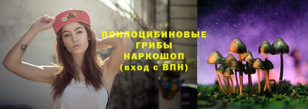 дмт Балабаново