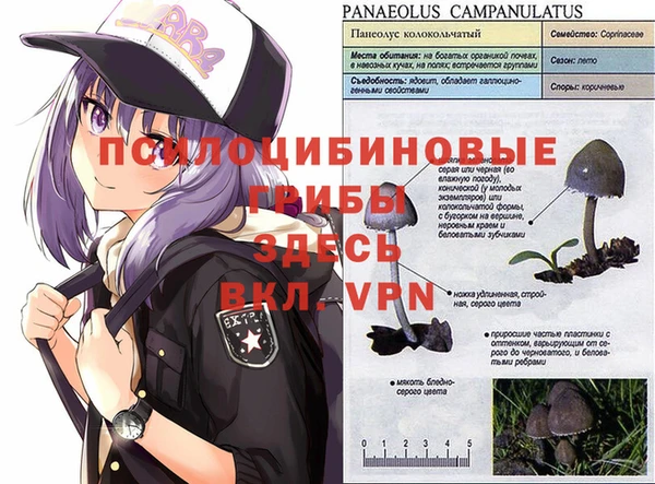 тгк Баксан