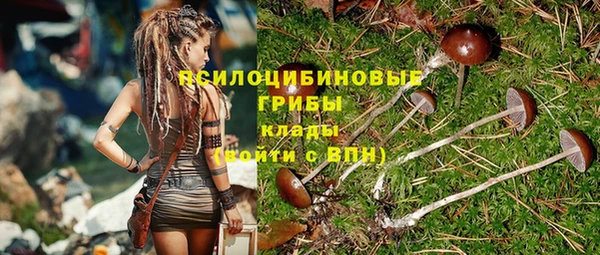 ПСИЛОЦИБИНОВЫЕ ГРИБЫ Балахна